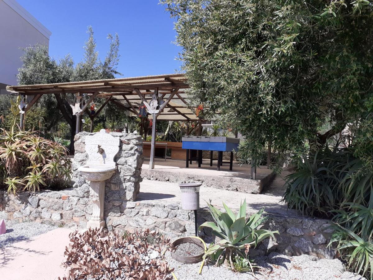 Agriturismo Heaven Capo Vaticano Eksteriør billede